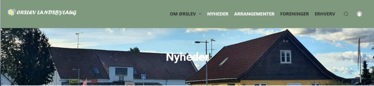 Mange besøgende på hjemmesiden!
